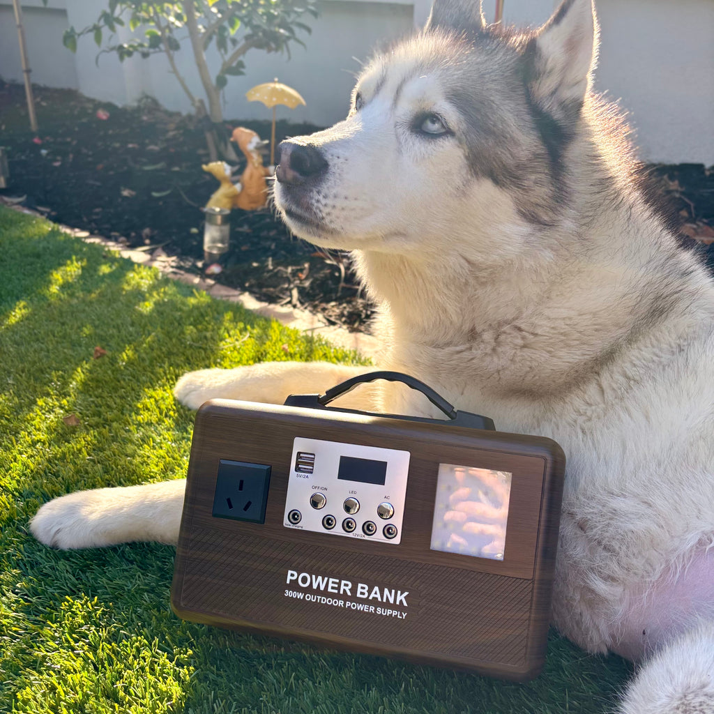 Sun Harbour | 300W LiFePO4 Portable Power Station | Wood Grain & Black Options | Lightweight Power Bank - Sun Harbour Energy GF-E300