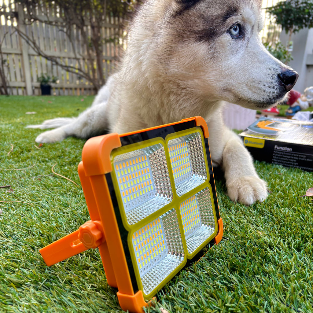 Sun Harbour | Solar LED Flood Light | USB Rechargeable Power Bank | Portable Camping Led Solar Flashlight | Emergency Camping Light | SunHarbour D-Series D8