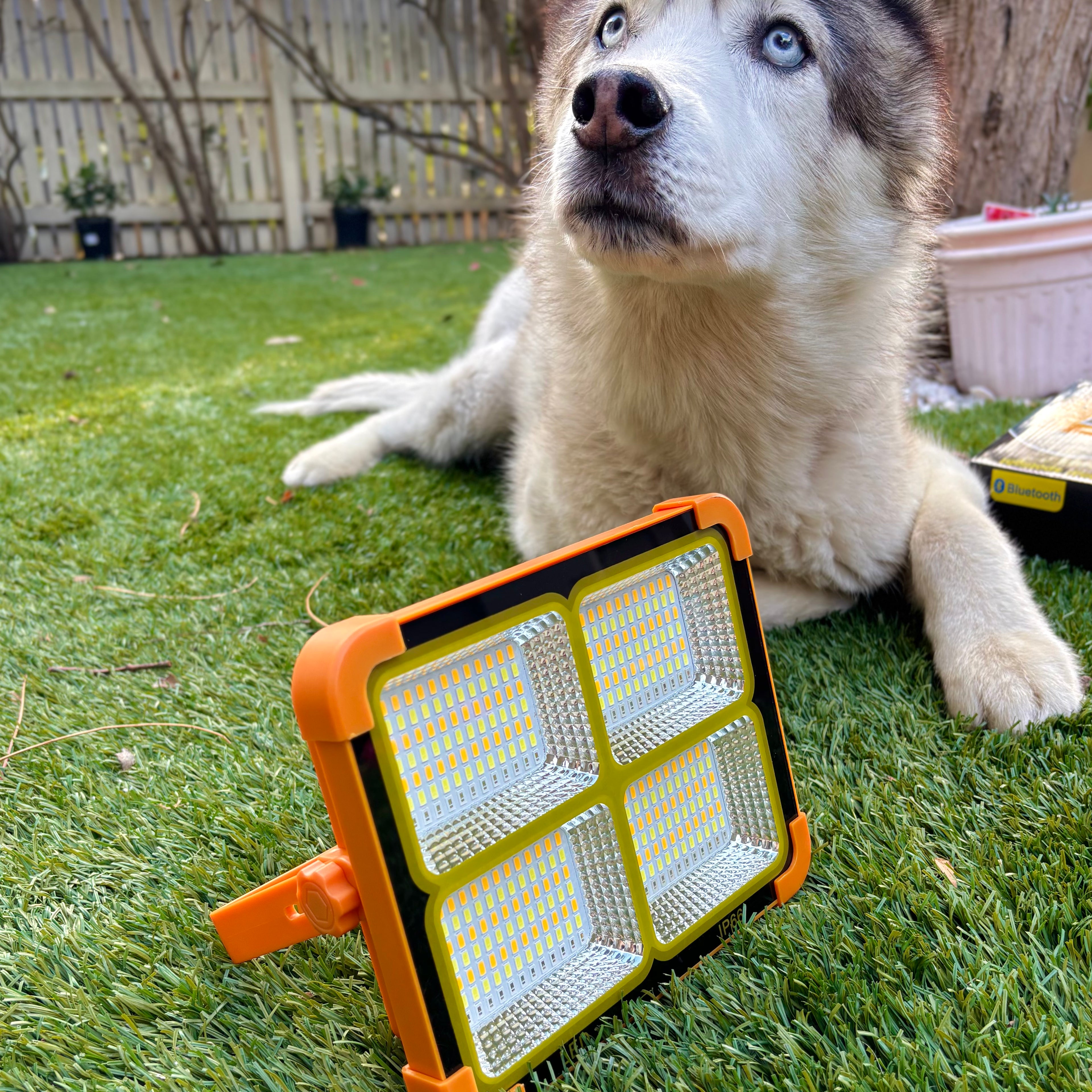 Sun Harbour | Solar LED Flood Light | USB Rechargeable Power Bank | Portable Camping Led Solar Flashlight | Emergency Camping Light | SunHarbour D-Series D8